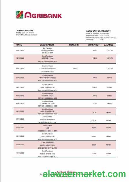 Vietnam Agribank bank statement template in Word and PDF format